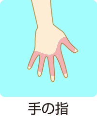 手の指