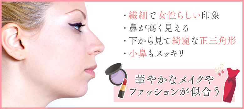 鼻先が尖っている