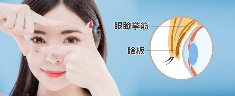 二重に種類がある理由は「まぶたの構造の違い」