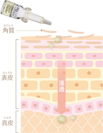メイクアップピール 浸透 