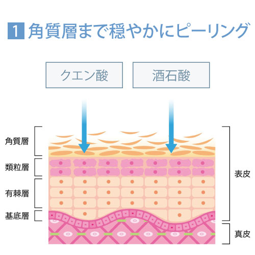 トラネックスレチピール | 美容皮膚科・美容外科・婦人科形成