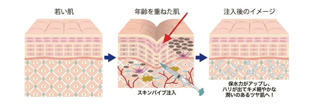 スキンバイブの肌への作用イメージ